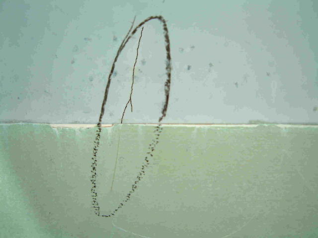 hard spot cracking seasurveys